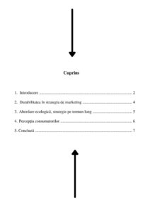 Model Referat Pentru Liceu Sau Facultate ️ [Ghid]