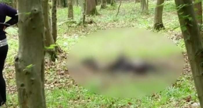 Moarte cumplită pentru un fost profesor din Botoșani | Bărbatul a fost găsit carbonizat într-o pădure